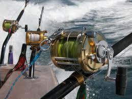 Fishing Wallpapers - images67.jpeg